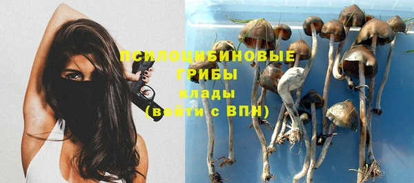 хмурый Лабытнанги