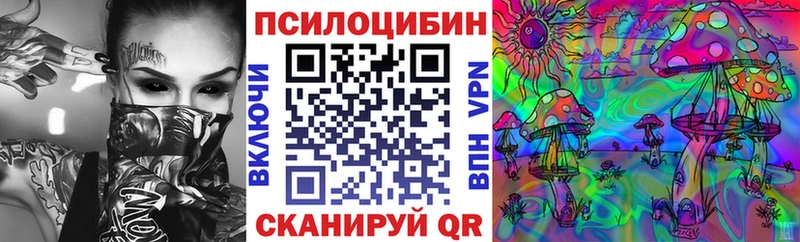 кракен рабочий сайт  магазин продажи   Суджа  Псилоцибиновые грибы Psilocybine cubensis 